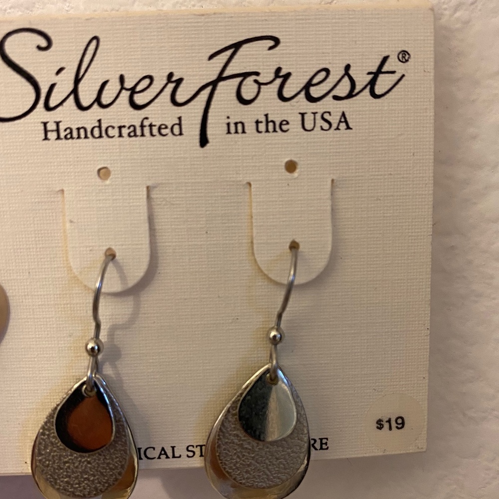 Steel Earrings